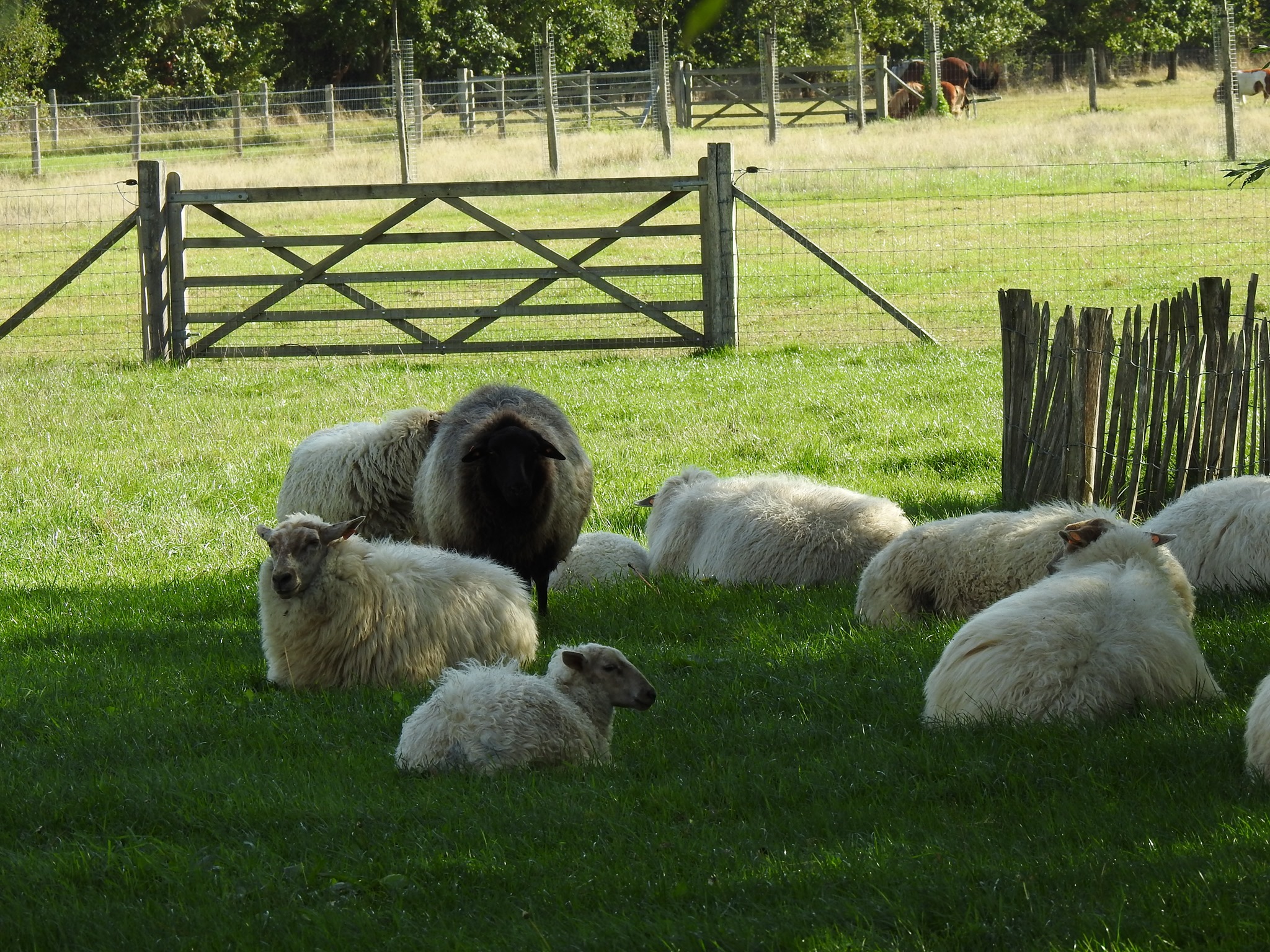 309222887 458575832966388 4739447846501990567 n