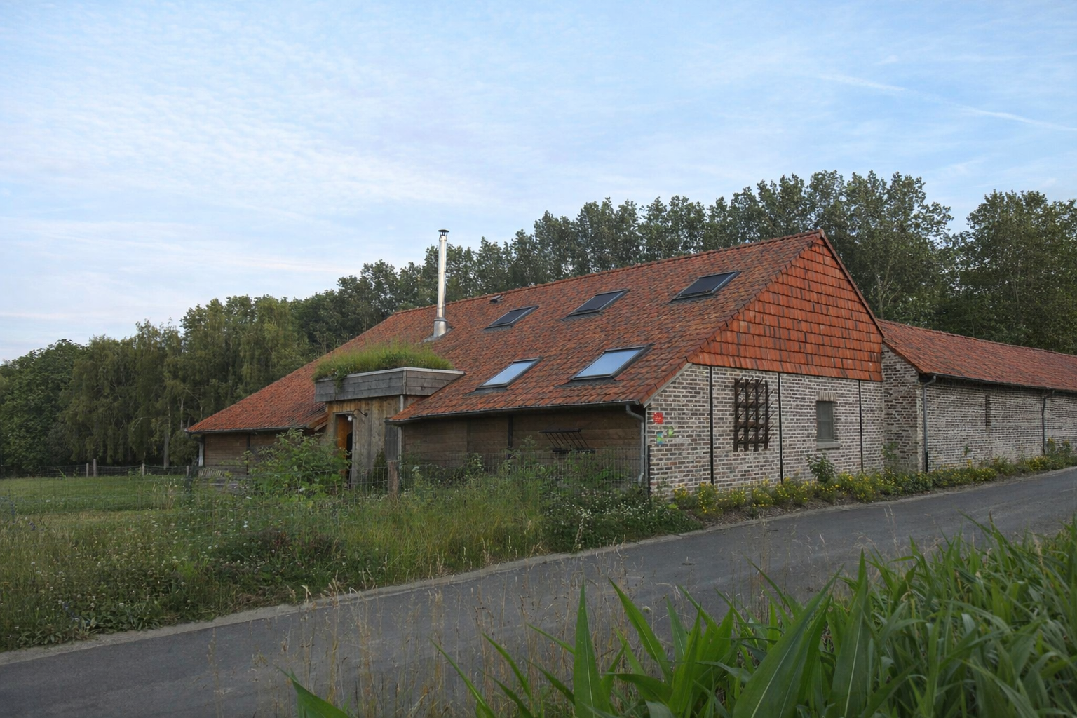 bco.77535d50 e0e4 4271 8d35 2bbb2fbf9751